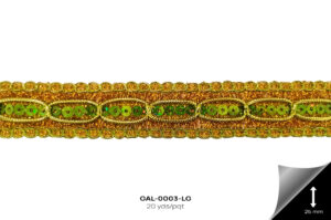 GAL-0003-LG GALON METALIZADO LIMON - GAL-0003-LG